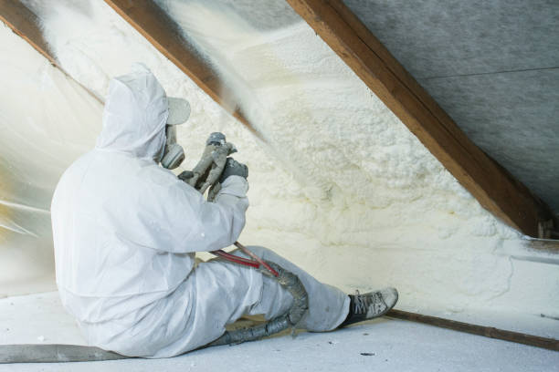 Best Attic Insulation Installation  in Chlicothe, IL